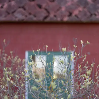 Zweeds rood huis met groen deuren en gele bloemetjes op de voorgrond gefotografeerd door foto verwonder